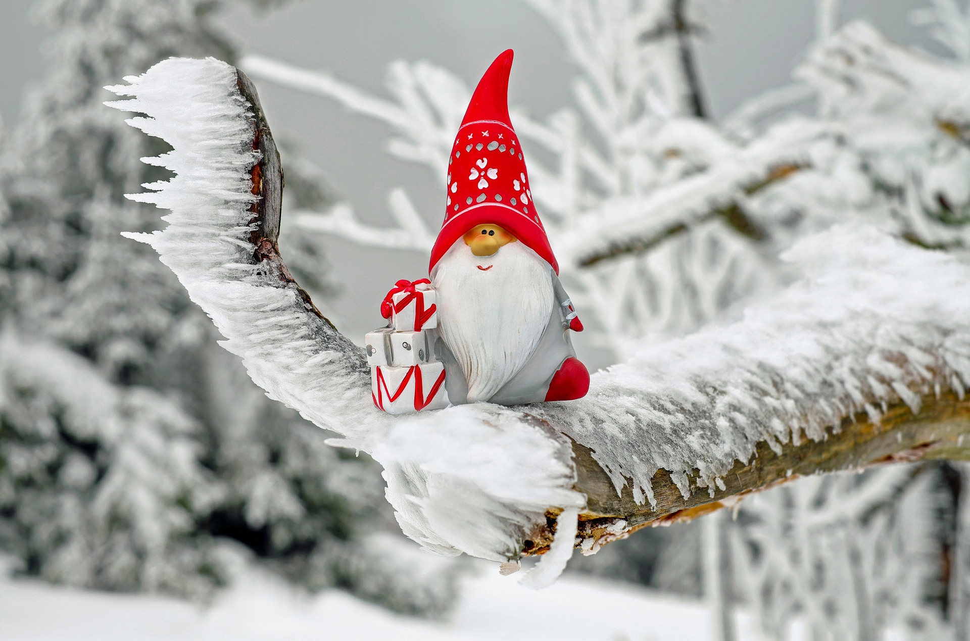 Nisse på grein