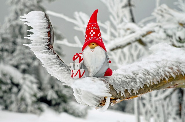 Nisse på grein